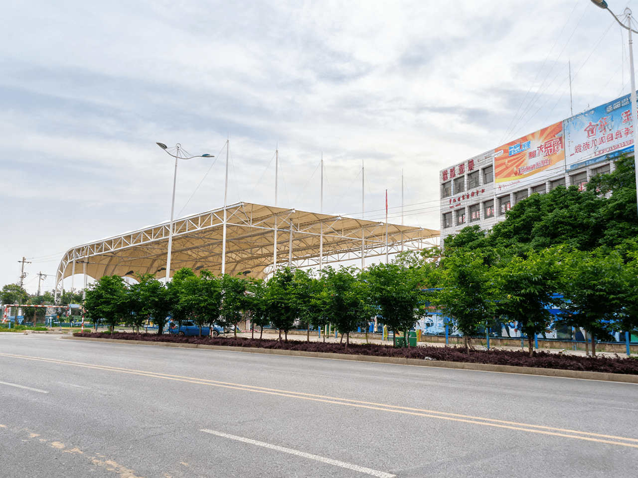 Camphor Tree Basketball Gymnasium